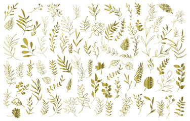 Big hand drawn colorful plant set - universally usable. Flower branch and minimalistic modern plants. Hand drawn lines, elegant leaves for your own design. Botanical, chic and trendy plants .