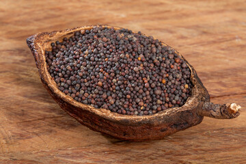 Brassica Nigra - Black Mustard Seeds Or Ajenabe