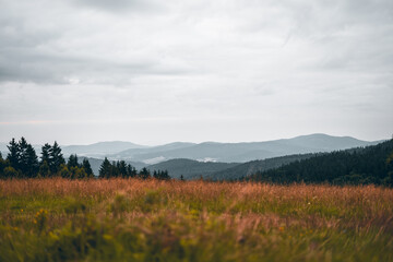 foggy morning in the mountains