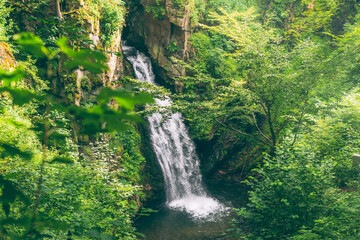 Naklejka na ściany i meble waterfall in the forest jungle