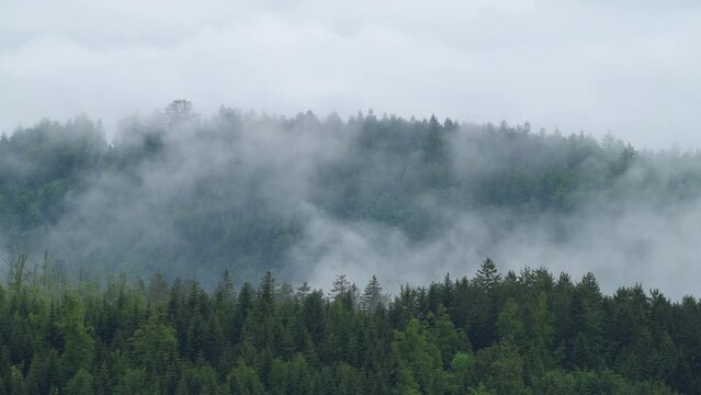 Moving clouds over Black Forest, Germany