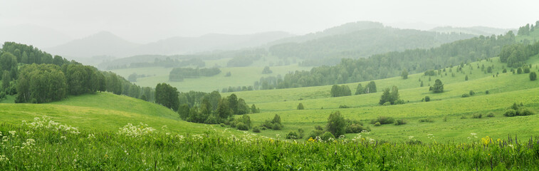 Panoramic view of green meadows and hills on a summer day, cloudiness