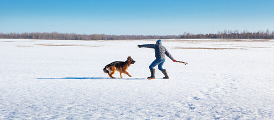 German shepherd dog and its owner on a walk in winter, against the backdrop of a snowy field and...