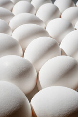 White eggs in a row. White eggs background. Shallow depth of field