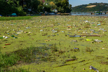 zanieczyszczone jezioro  © Dariusz Grochal 