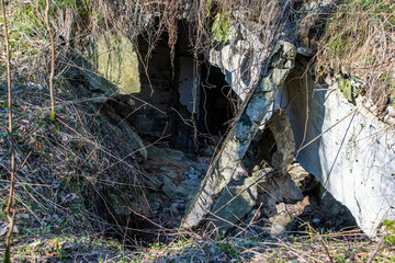 Mit dem Wald verwachsene Ruine der Dynamitfabrik Krümmel Geesthacht