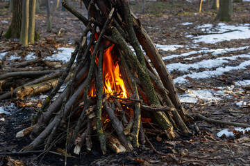 Campfire in the spring forest. Rest on the weekend. Danger of forest fires
