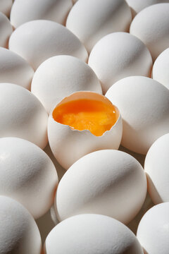 Row of white eggs and single broken egg with a yolk. White Eggs and Yellow Egg Yolk.Shallow depth of field