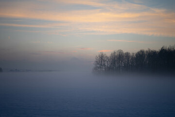 Obraz na płótnie Canvas foggy day in winter