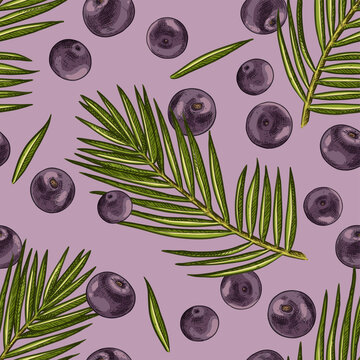 Hand drawn colorful acai. Vector seamless pattern of acai with leaves and berries. For kitchen design, food packaging, textiles.