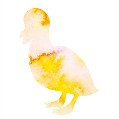 watercolor silhouette duckling isolated vector