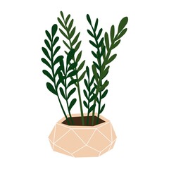 Fototapeta na wymiar Zamioculcas in the geometric pot. Room plants. For decor home or office interior. Trendy indoor herb. Isolated element on white background. Flat style in vector illustration.