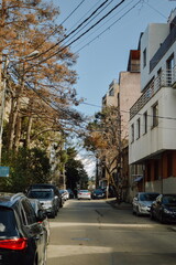 Buildings and architecture