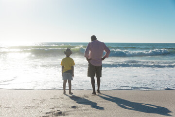 Rear view of african american grandfather and grandchild standing at beach with copy space on sky