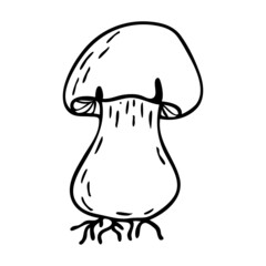 Vector contour mushroom. Boletus mushroom icon. Doodle illustration. Clipart.