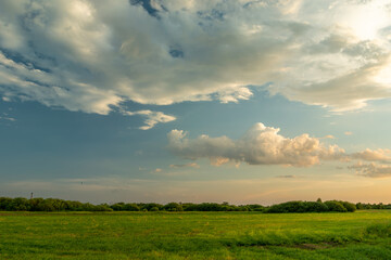 Fototapeta na wymiar White evening clouds over the green meadow, Nowiny, Poland
