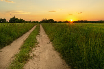 Fototapeta na wymiar Sandy road through green meadows and sunset