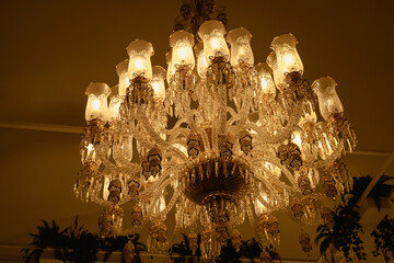 old vintage crystal chandelier on the ceiling on wall with plants background. vintage and old stuff in interior decor