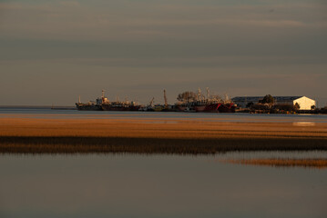 Couples stream, Buenos Aires, Argentina.