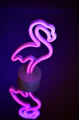 Neon pink flamingo on the mirror with reflection