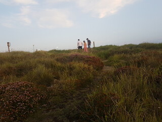Three guys walking watching their phones