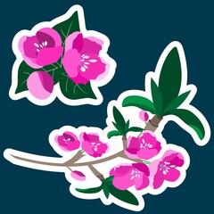 Blossoming cherry on a dark background. Social network stickers.