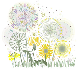 Field of dandelions isolated on white background. Vector decorative floral illustration.