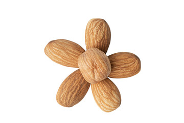 Almonds and hazelnuts arranged in flower shape isolated on white background.