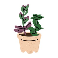 Succulent in the decorative flowerpot. Design interior by home plants. Botanical minimalism. Cartoon style. Cute plant in little pot for home or office garden. Hand drawn vector illustration.