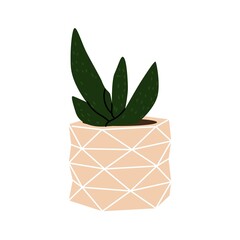 Succulent in the decorative flowerpot. Design interior by home plants. Botanical minimalism. Cartoon style. Cute plant in little pot for home or office garden. Hand drawn vector illustration.