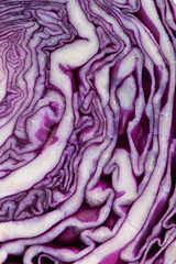 Obraz premium Close up of red cabbage texture background