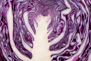 Close up of red cabbage texture background