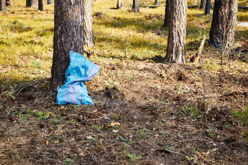 niebieski worek porzucony w lesie ,śmieci w lesie 