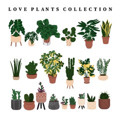 Collection home plants in the modern flowerpots. Beautiful composition with nature elements in the interior. Design for home and office. Hand drown. Flat style in vector illustration.