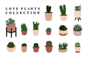 Collection home plants in the modern flowerpots. Beautiful composition with nature elements in the interior. Design for home and office. Hand drown. Flat style in vector illustration.