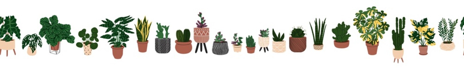 Seamless border with room plants in the pots. Web or Interior design. Modern Home plants. Flat style in Vector illustration. Isolated on transparent background.
