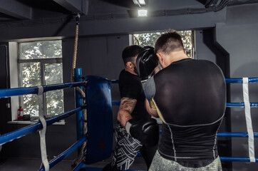 Two kickboxers, fighters fight with gloves in a boxing ring. Sparring partners