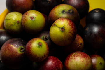 Fruits of Camu Camu (Myrciaria dubia), grows on the banks of the rivers of the Amazon, is very common in the markets, also used for the preparation of soft drinks, desserts and liqueurs, has a very pl
