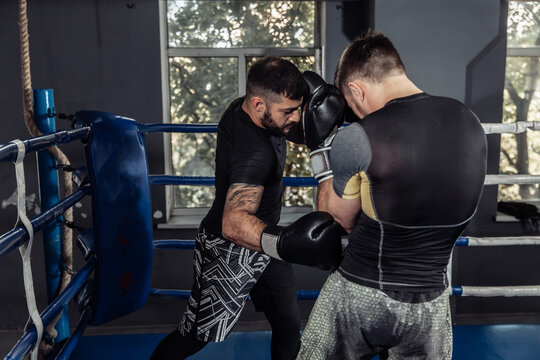 Two kickboxers, fighters fight with gloves in a boxing ring. Sparring partners