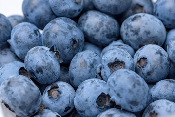 A lot of harvested blueberry fruits