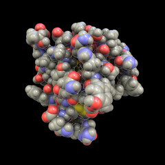 Insulin molecule, 3D illustration