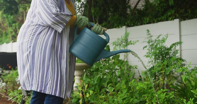 Video of happy plus size african american woman watering flowers in garden