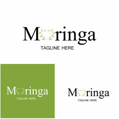 Moringa leaf logo illustration vector design