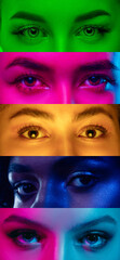 Collage of cropped multiethnic male and female eyes placed on narrow stripes in neon lights