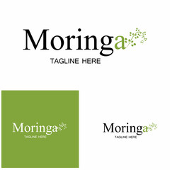 Moringa leaf logo illustration vector design