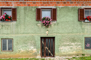 Fototapeta na wymiar Old House Facade with Entrance Door and Windows Decorated with Flowers. Green Colored Brick Wall. Rural Building in Croatia