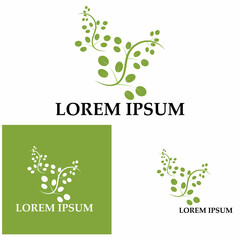 Moringa leaf logo illustration vector design