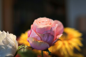 Fiori finti