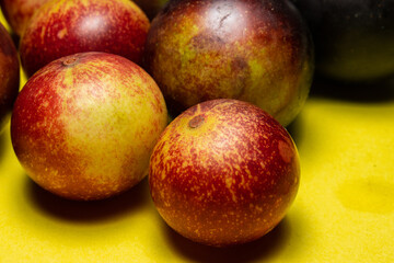 Fruits of Camu Camu (Myrciaria dubia), grows on the banks of the rivers of the Amazon, is very common in the markets, also used for the preparation of soft drinks, desserts and liqueurs, has a very pl