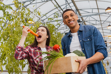 Obraz premium Cheerful african american farmer holding box with fresh vegetables near colleague biting carrot.